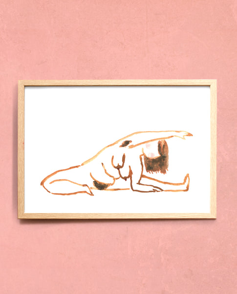 Lineseries Janu sirsasana