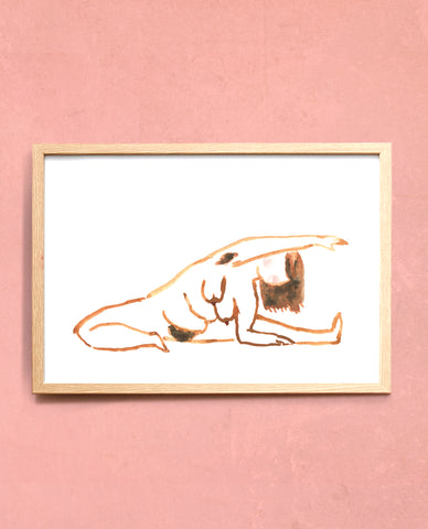 Lineseries Janu sirsasana