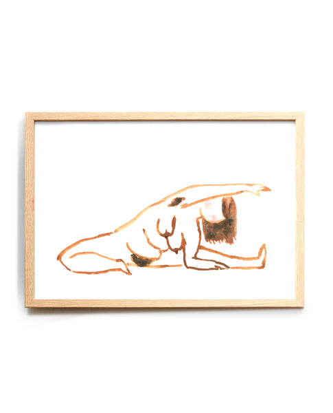 Lineseries Janu sirsasana